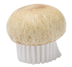 _Y1S5550ChampignonBorstel