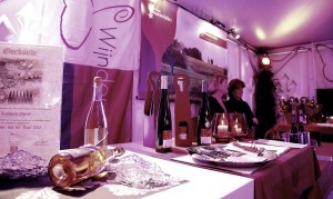 chateau-maestricht-maastricht-evenement-maa-4(p-event,16795)(c-0)