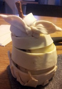 10754925_924643710897625_913823381_n