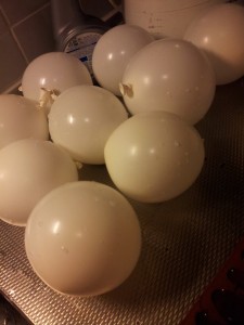 10822638_934795979882398_637629871_n (1)