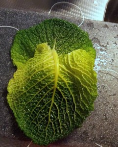 10933253_973419609353368_1304927362_n