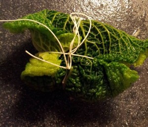 10934668_973420802686582_510098205_n