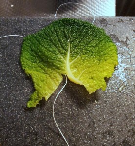 10937391_973419532686709_383940258_n