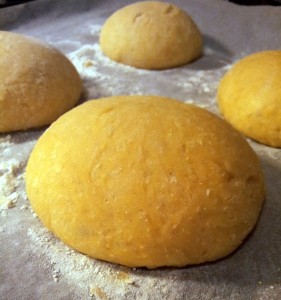 10937513_971970829498246_2063584220_n