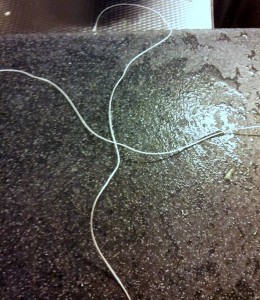 10943535_973419576020038_1888606209_n