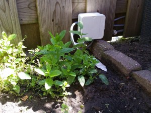 11119717_1070220379673290_989772053_n