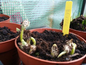 11124405_1019258718102790_896757843_n