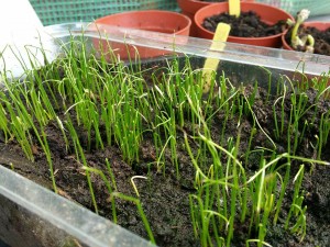 11129289_1019258788102783_800024171_n