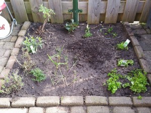 11134179_1019258828102779_1088177116_n