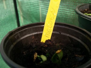 11165994_1027842127244449_655509428_n