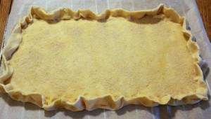 11039547_997124866982842_23288495_n