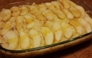 11050981_1000827429945919_29651068_n