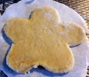 11096978_1015989008429761_1280469978_n