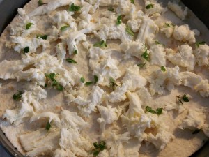 11173468_1029093373785991_602034053_n