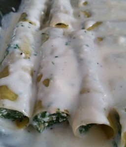 11297696_1057801080915220_1810841731_n