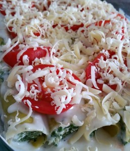 11355572_1057802487581746_446099264_n