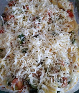 11650658_1069358916426103_1128773165_n