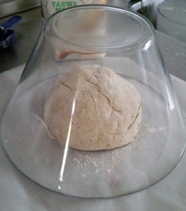 11714343_1074811159214212_14580270_n