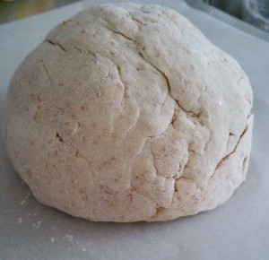 11733318_1074810762547585_1854366714_n