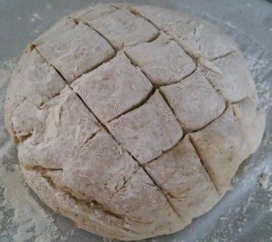 11736932_1074828165879178_1433146667_n