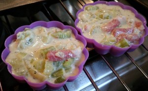 11749381_1077678078927520_846739895_n