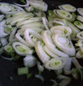 11749465_1077661968929131_592641741_n