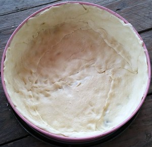 11758839_1082531705108824_2125906968_n