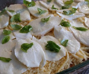 11805717_1088748294487165_209398306_n