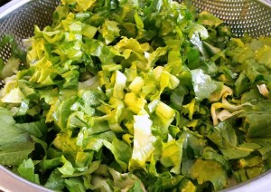 11852648_1090259521002709_1233022862_o