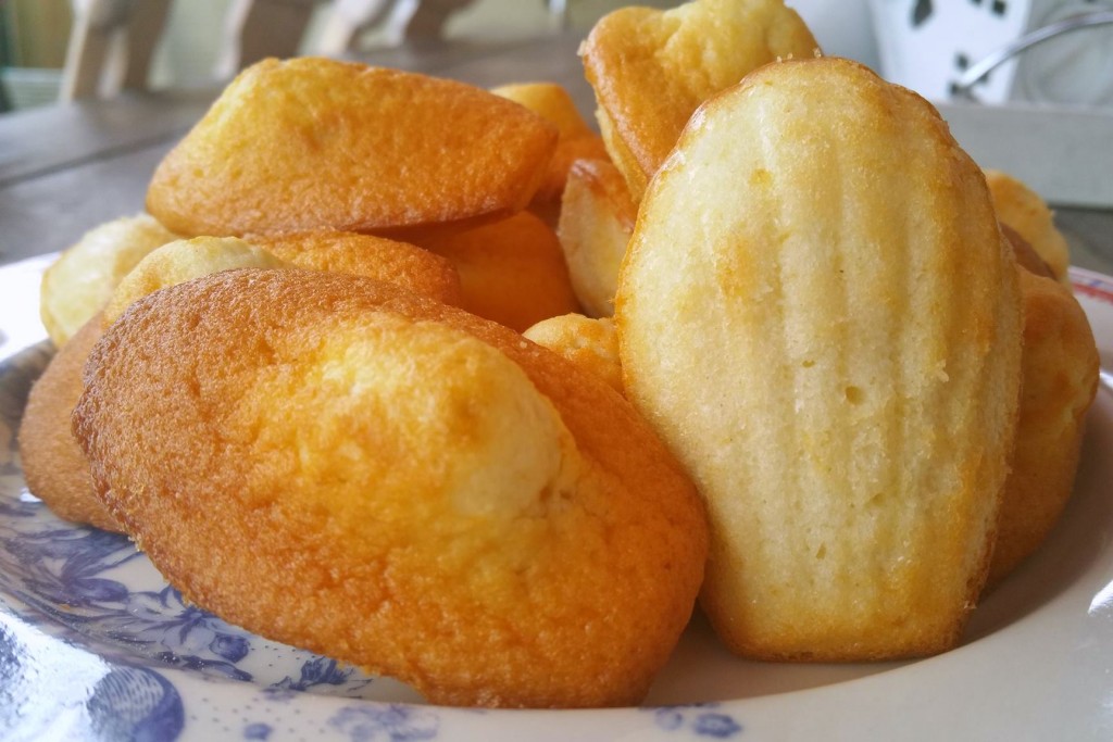 11895575_1096775523684442_689807717_o