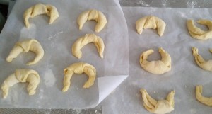 11900907_1093914427303885_1083985930_o