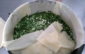 12018588_1116292508399410_1668027492_o