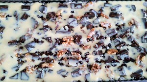 12113080_1122591101102884_692212865_o