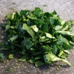 12171532_1131294653565862_1807214460_o