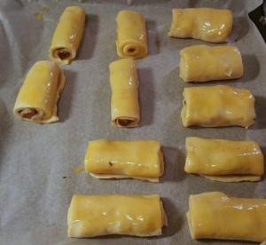 12180740_1133163250045669_5458448_o