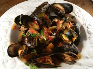 12180890_1131792260182768_1398999045_o