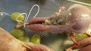 12213858_1137460172949310_1106782867_o