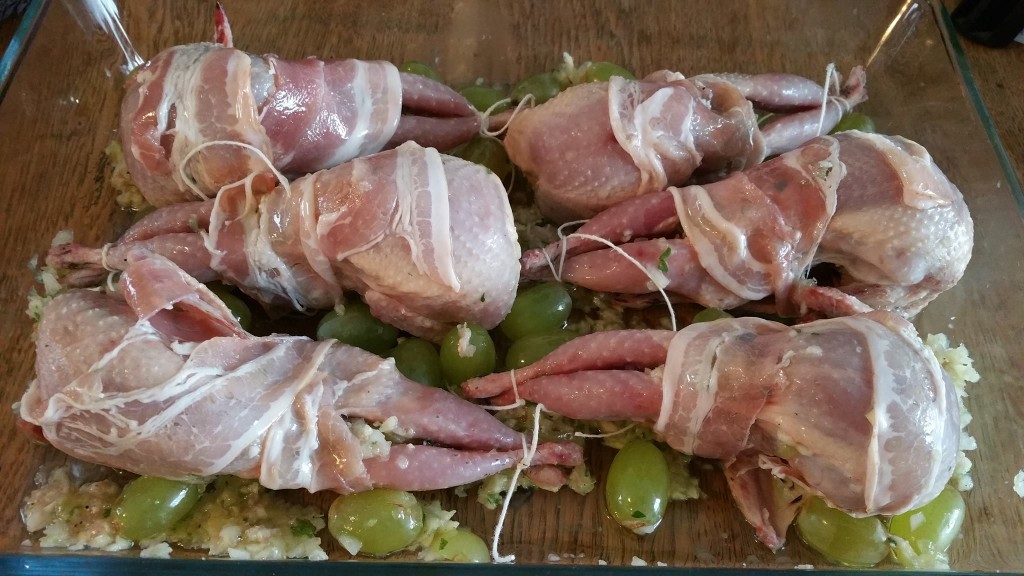 12218820_1137463259615668_1981738570_o