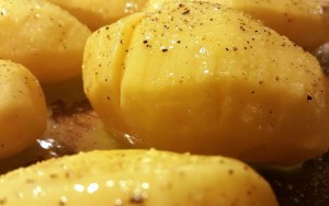 10605886_1158515117510482_1510104690_o