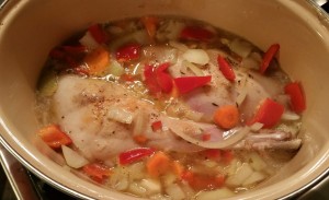 12287091_1144496555579005_1354144991_o