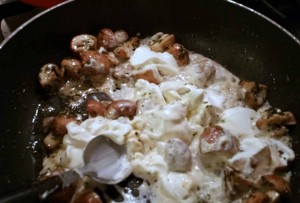 12290441_1144498465578814_1663424104_o