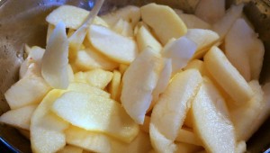 12334102_1149945145034146_747298184_o