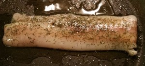 12381087_1154854547876539_1237950797_o