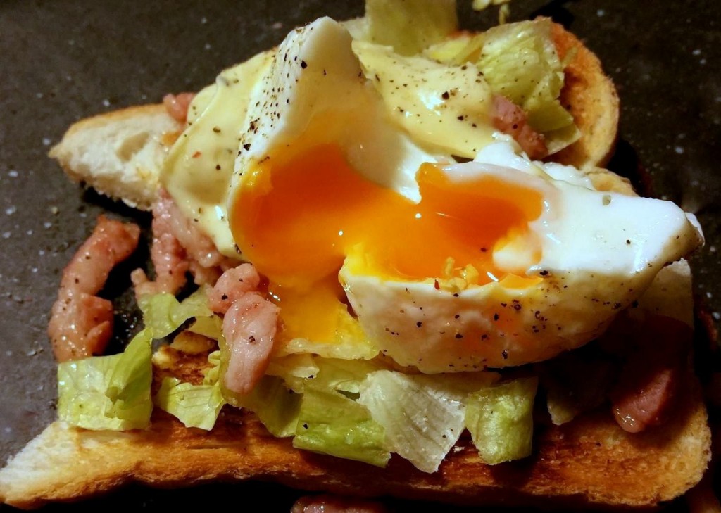 12414379_1160331460662181_366534675_o