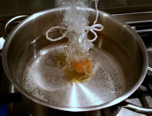 12415877_1160326950662632_746368753_o