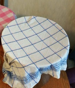 12465151_1166801466681847_460385406_o