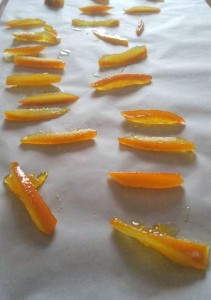 12436088_1166821423346518_1991721848_n