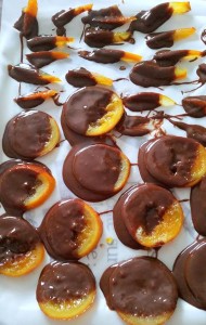 12468065_1166822046679789_2089124190_n