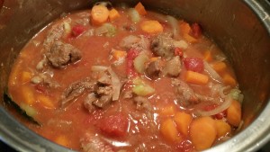 12510607_1171217989573528_232058750_o