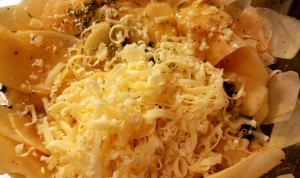 12562458_1175482229147104_1268184206_o